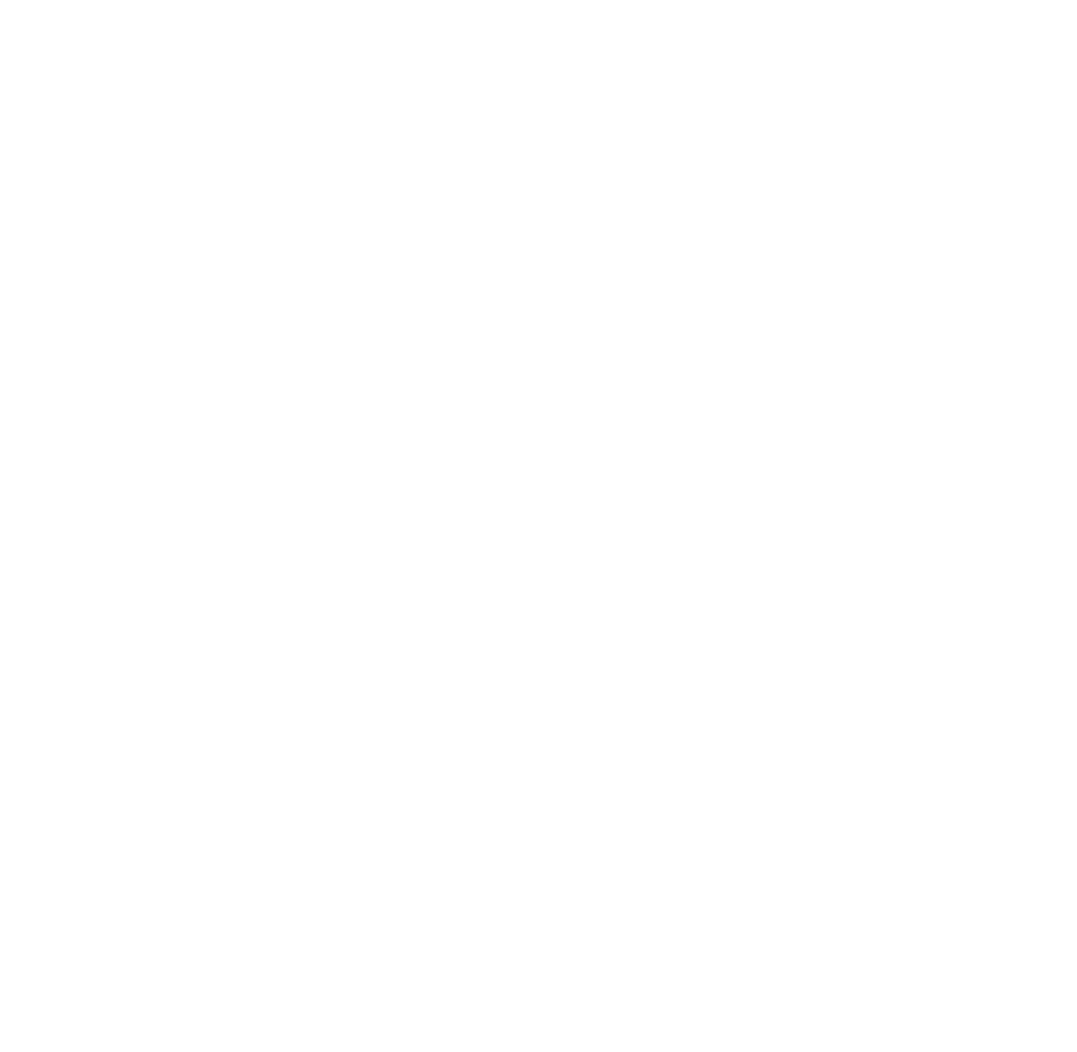 The Blue Connect